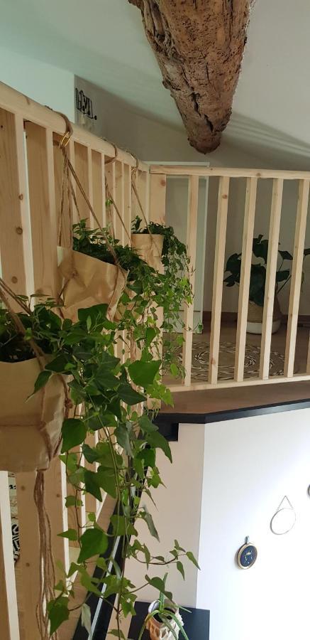 Studio Mediterraneenne Montpellier Kültér fotó